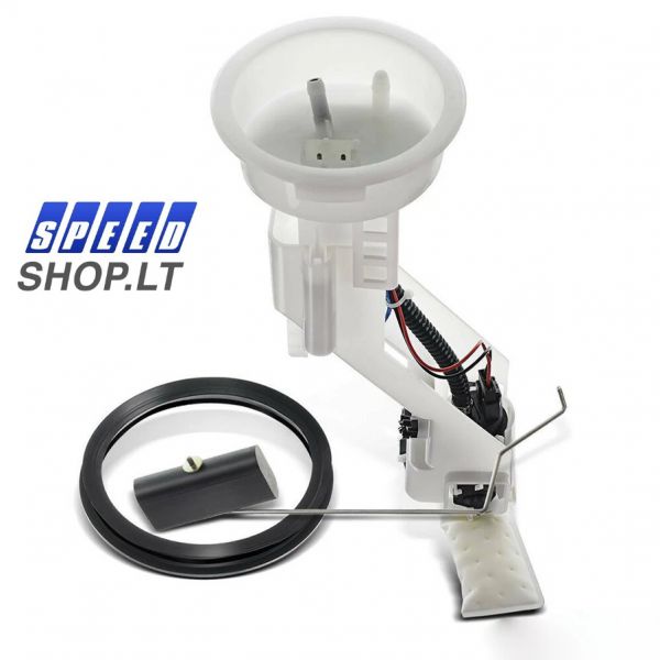  BMW X5 E53 3.0L 4.4L 4.6L kuro siurblys  16116755043